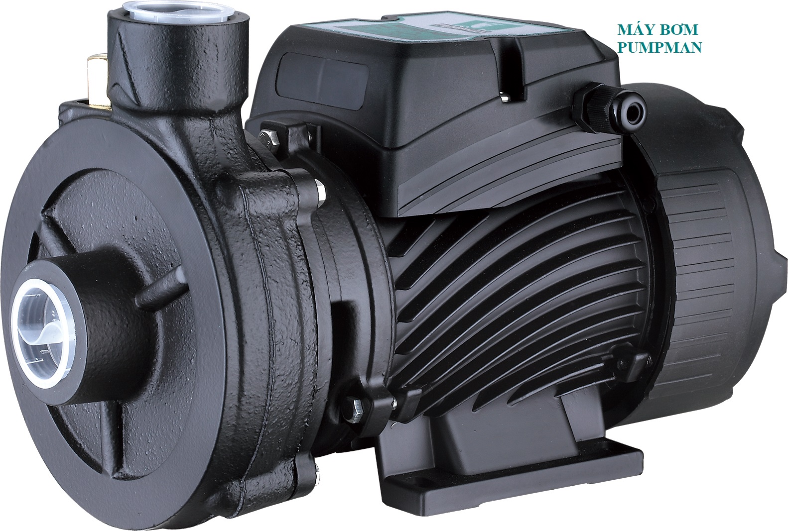 M&aacute;y bơm nước PUMPMAN 